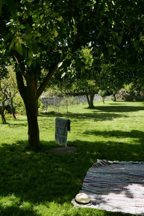 Casa Do Meio Em Quinta De Sao Pedro De Vir-A-Corca Монсанту Екстериор снимка