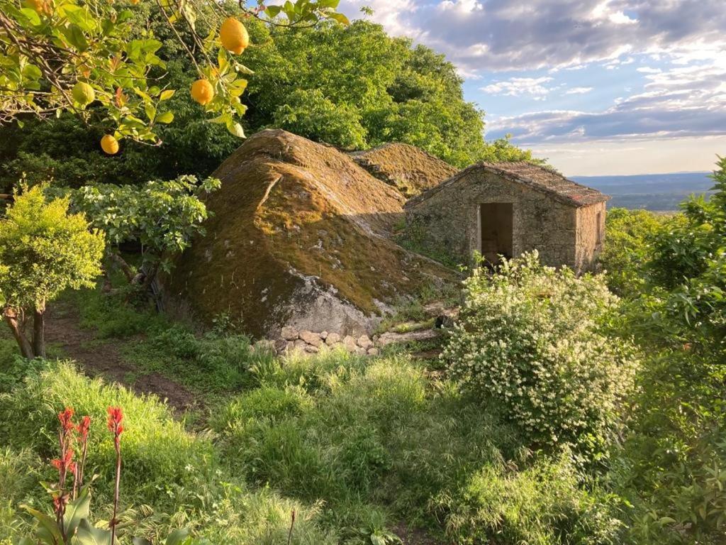 Casa Do Meio Em Quinta De Sao Pedro De Vir-A-Corca Монсанту Екстериор снимка