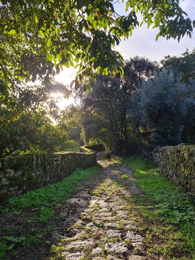 Casa Do Meio Em Quinta De Sao Pedro De Vir-A-Corca Монсанту Екстериор снимка