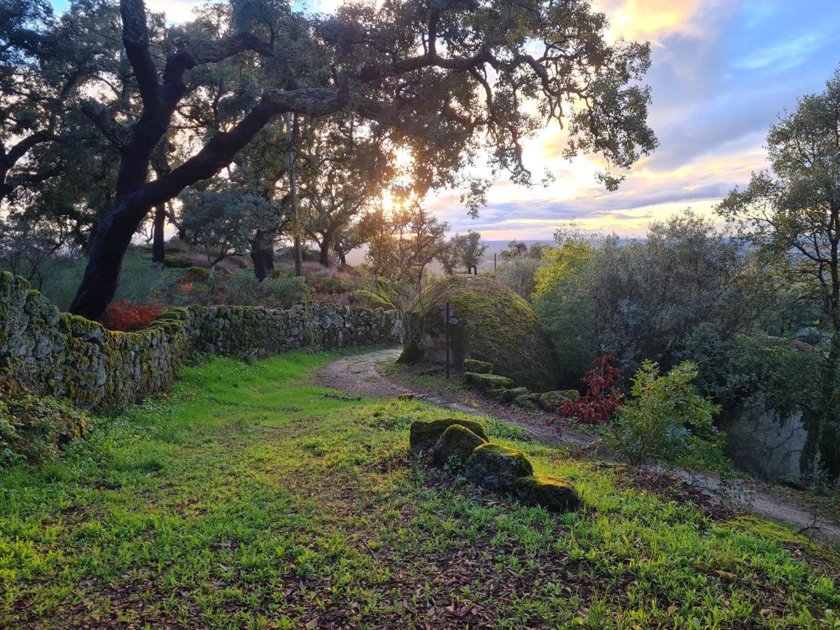 Casa Do Meio Em Quinta De Sao Pedro De Vir-A-Corca Монсанту Екстериор снимка